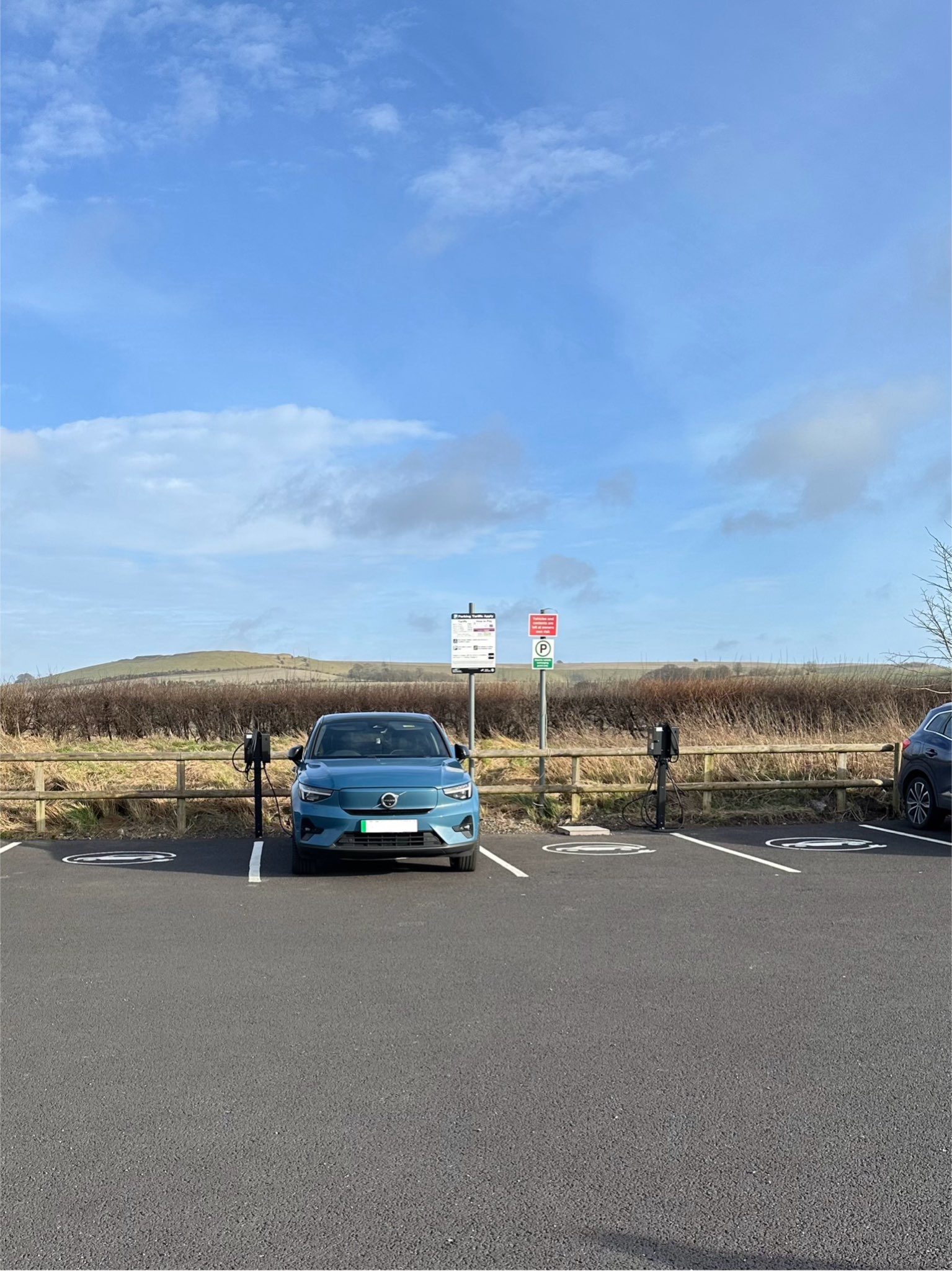 Hydra Jovi Installation 1