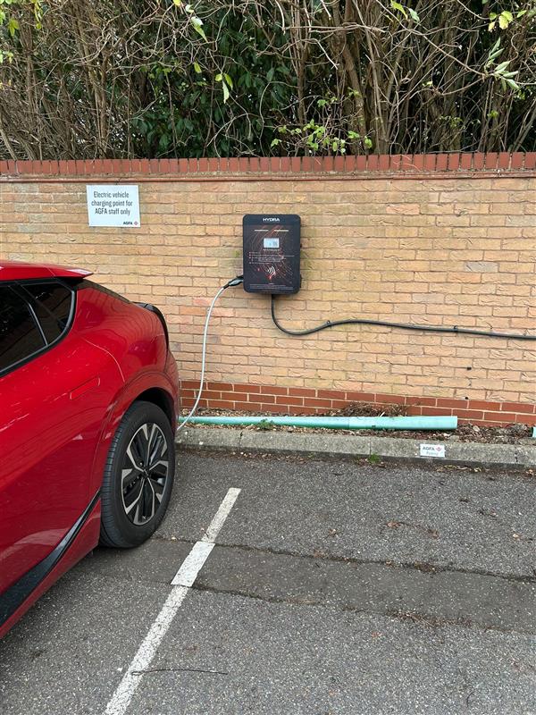 Hydra Jovi Installation 6