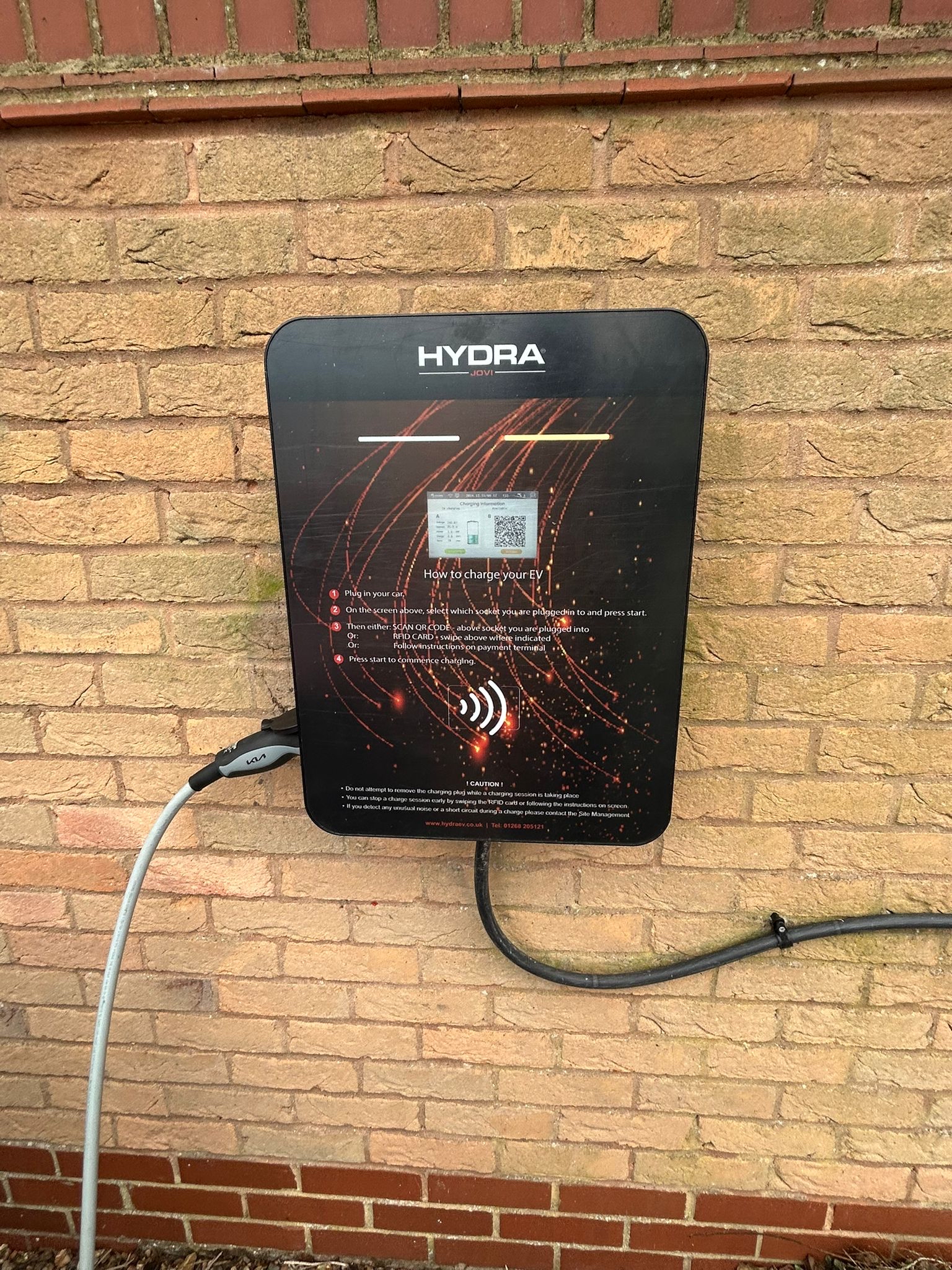 Hydra Jovi Installation 4