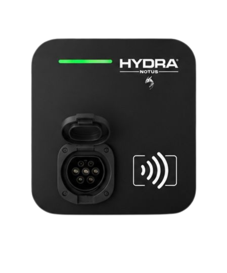 Hydra Notus Offer